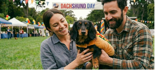 National Dachshund Day: 10 Ways to Celebrate While Supporting Your Dachshund's Health