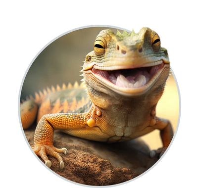 Reptile and amphibian care blogs