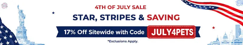 How to Make the 4th of July Safe for Your Dog?