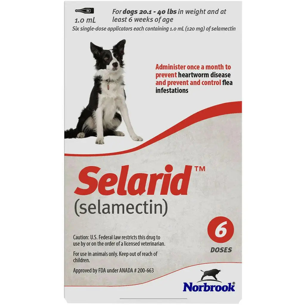 Frontline Plus for Dogs