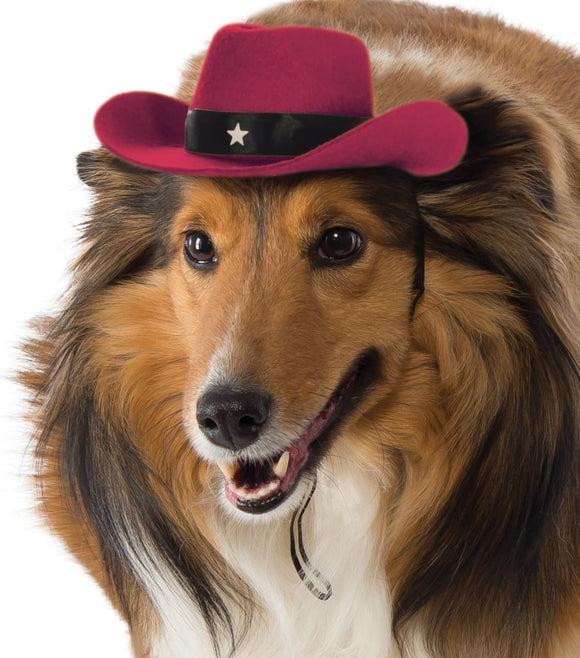 Pets Cowboy Hat - Various Colors - Small/Medium / Red - Pet Costumes & Accessories 6