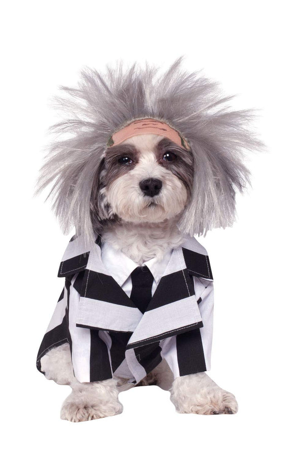 Pets Beetlejuice Costume - Small - Pet Costumes & Accessories 1
