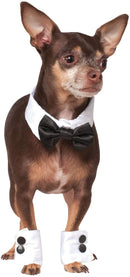 Pets Bowtie Collar and Cuff Accessory Set - Small/Medium - Pet Costumes & Accessories 1