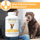 Vet Classics Incontinence for Dogs (120 Chew Tabs) - 3