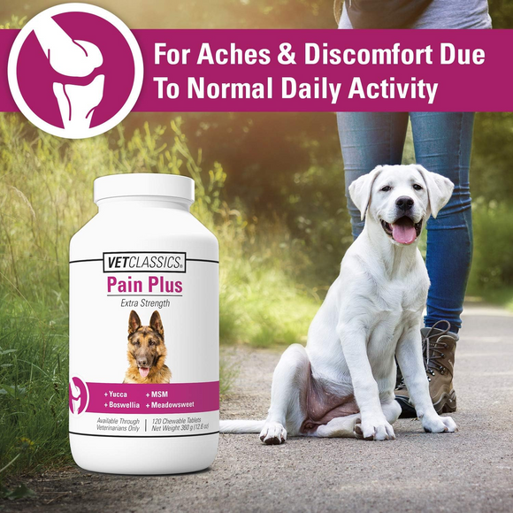Vet Classics Pain Plus Extra Strength for Dogs (120 Chew Tabs) - 3