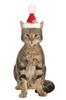 Pets Christmas Santa Hat - Various Colors - Small/Medium / Red - Pet Costumes & Accessories 3