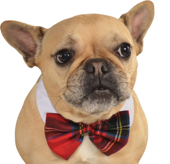 Pets Bow Tie Costume - Various Colors - Pet Costumes & Accessories 8
