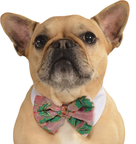 Pets Bow Tie Costume - Various Colors - Small/Medium / Poinsettia - Pet Costumes & Accessories 7