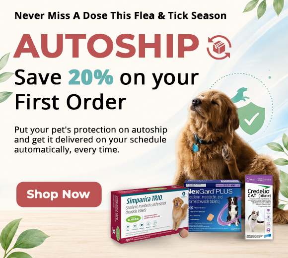 Autoship banner 580x520 45bb1b69 81df 42b4 ba40 a6caf561f127