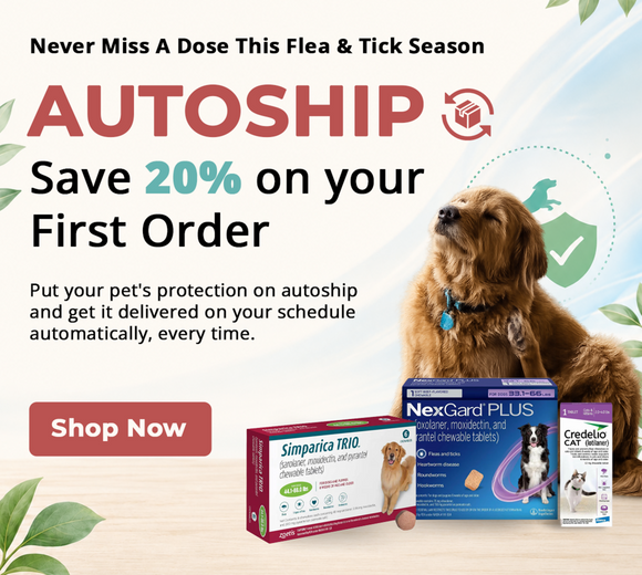 Autoship banner highqua ity