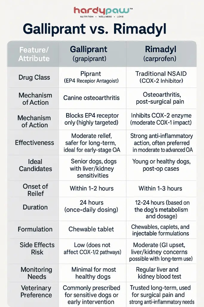 Galliprant vs Rimadyl - Best NSAID for Dog Arthritis Relief
