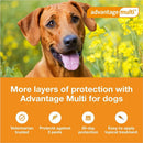 Advantage Multi Topical Solution for Dogs 3-9 lbs, Green Pet Medicine.