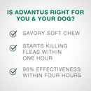 Advantus Flea Oral Treatment for Small Dogs 4-22 lbs