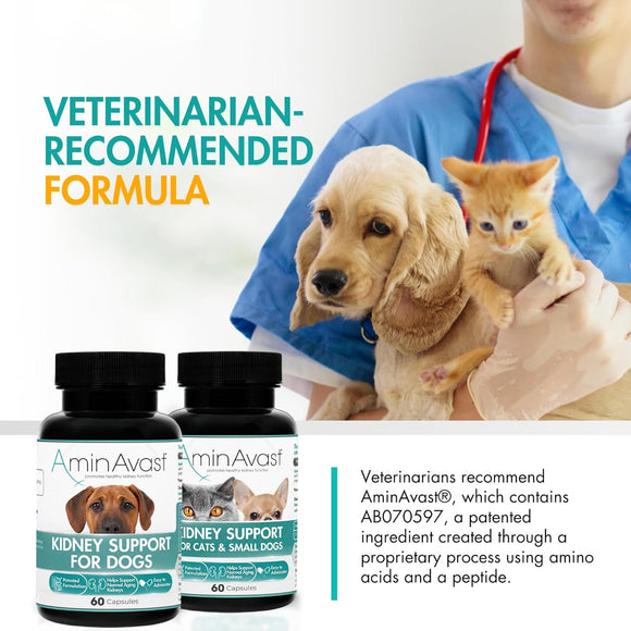 AminAvast Kidney Support Capsules for Cats - 60 Capsules - Cat Supplements & Vitamins 7