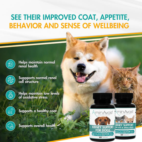 AminAvast Kidney Support for Dogs (60 capsules) - Dog Supplements & Vitamins 6