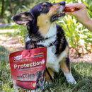 Ark Naturals 5-in-1 Protection  Brushless Toothpaste Dental Chews for Medium Breed Dogs