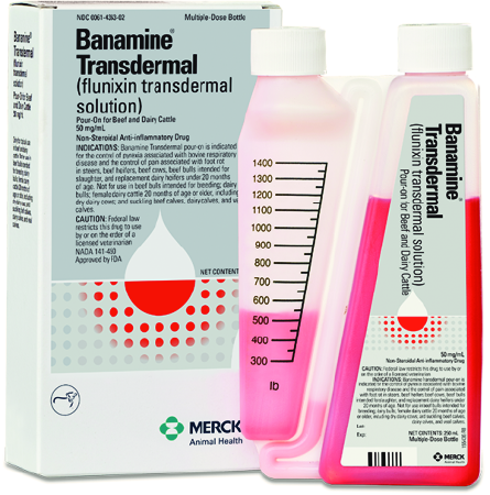 Banamine Transdermal (Flunixin Pour-On) for Cattle - 100ml - Pet Medicine 1