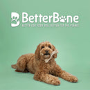 BetterBone Medium Density Beef Flavor Dog Chew Toy