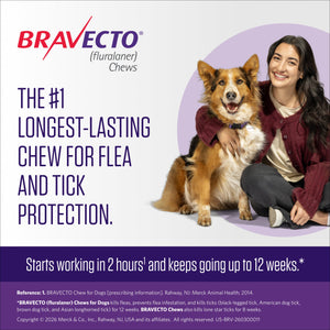 Bravecto Chews for Small Dogs 9.9-22 lbs (Orange Box) - Pet Medicine 2