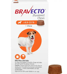 Bravecto vs Simparica - Which Offers Best Flea & Tick Protection for Dogs