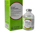 Buscopan for horses