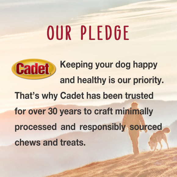 Cadet Bully Hide Sticks All-Natural Chews For Dog (Small)