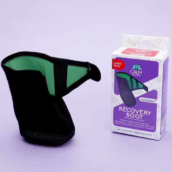 Calm Paws Recovery Dog Boot - Large - Dog Clothing & Apparel 4