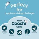 Coachi Tuggi Hide Dog Toy - Dog Toys 6