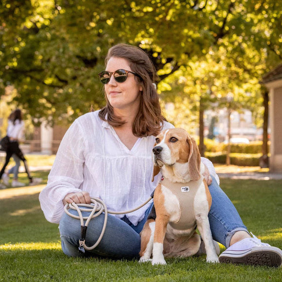 Woman sitting on grass with a dog in a park