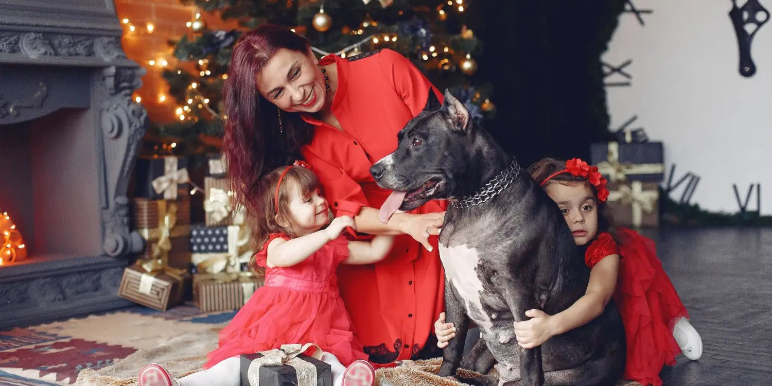 a family celebrating Christmas with their dog