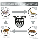 Frontline Shield for Large Dogs (41-80 lbs)