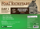 Fullbucket Foal Kick Start Paste (12 tubes) - Horse Vitamins & Supplements 3