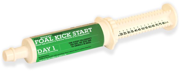 Fullbucket Foal Kick Start Paste (single tube) - Horse Vitamins & Supplements 1