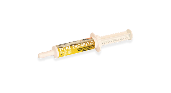 Fullbucket Foal Probiotic Paste (10 tube) - Horse Vitamins & Supplements 2
