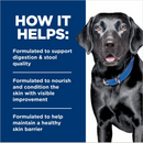 Hill’s Prescription Diet d/d Food Sensitivities Salmon Formula Canned Dog Food (13 oz x 12 cans) - Prescription Dog