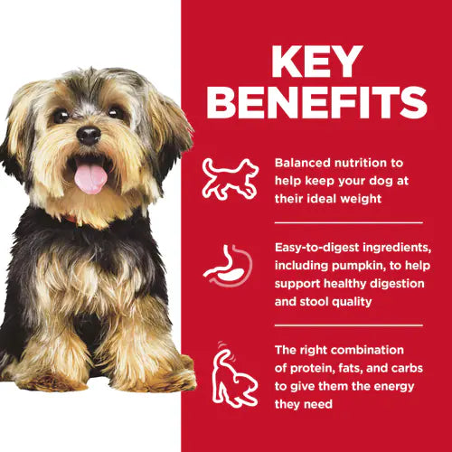 Hill’s Science Diet Adult Small & Mini Lamb Meal & Brown Rice Recipe Dry Dog Food 4.5 lb bag - Small Breed Dog Food 4