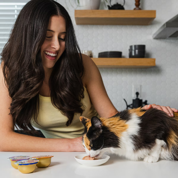 Inaba Churu Pop’n Serve Chicken with Scallop Grain-Free Lickable Cat Treats 1.2-oz cup - Cat Treats 6