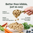 Instinct Fresh Dried Raw Meal Blends Freeze-Dried Grass-Fed Lamb Recipe for Dogs - Dog Treats 2