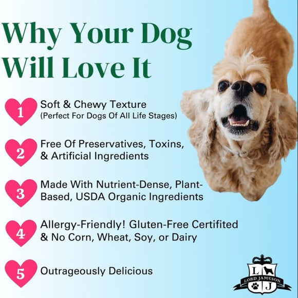 Lord Jameson Watermelon Pops Organic Watermelon Soft & Chewy Treats For Dog  (6 oz)