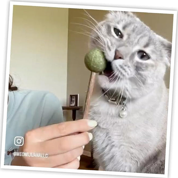 Meowijuana Lollies Silvervine Sticks with Catnip for Cats (3 ct)