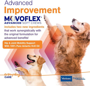MovoFlex ADVANCED Joint Support for Small Dogs