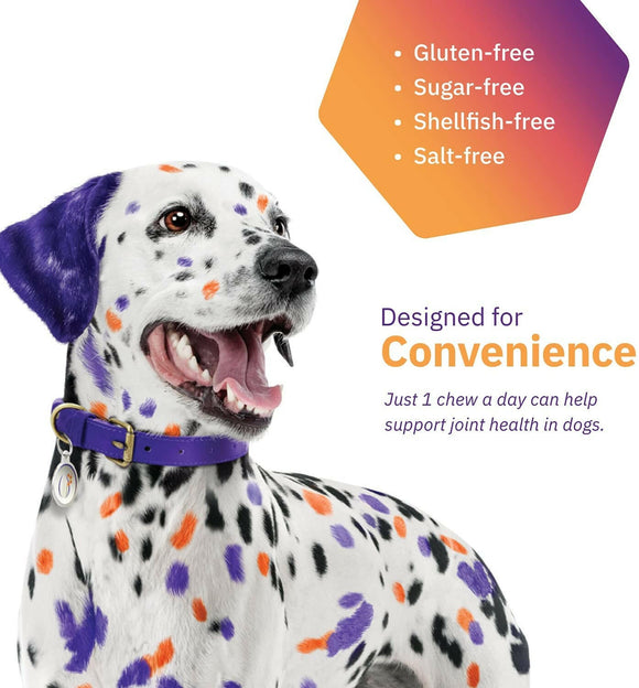 MovoFlex Joint Support for Small Dogs (60 soft chews)