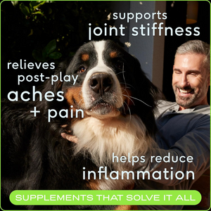 Native Pet Relief Joint Support Chicken Chews For Dogs - Dog Joint & Hip Supplements 2