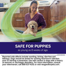 NexGard PLUS Chews for Dogs 17.1-33 lbs safe for puppies