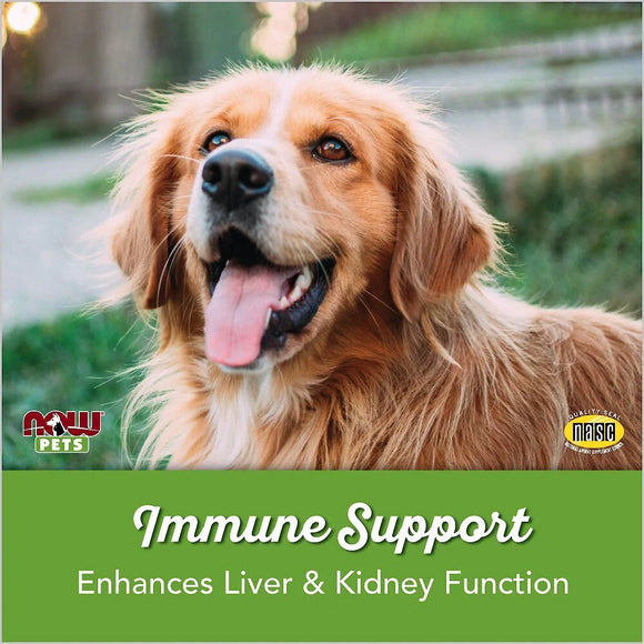 NOW Pets Immune Support Dog & Cat Supplement 90 ct - Dog & Cat Supplements & Vitamins 4