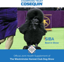 Nutramax Cosequin Senior Joint Health Supplement for Senior Dogs - With Glucosamine Chondroitin Omega-3 for Skin