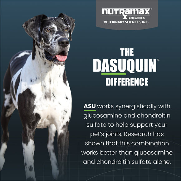 Nutramax Dasuquin Joint Health Supplement for Large Dogs - With Glucosamine Chondroitin ASU Boswellia Serrata Extract