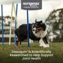 Nutramax Dasuquin Joint Health Supplement for Large Dogs - With Glucosamine Chondroitin ASU MSM Boswellia Serrata