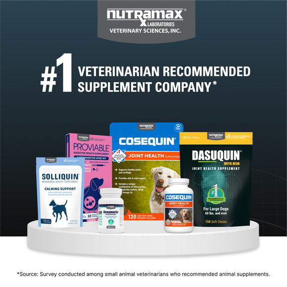Nutramax Dasuquin Joint Health Supplement for Large Dogs - With Glucosamine Chondroitin ASU Boswellia Serrata Extract
