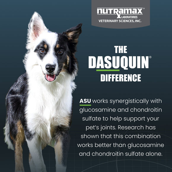 Nutramax Dasuquin Joint Health Supplement for Small to Medium Dogs - With Glucosamine Chondroitin ASU MSM Boswellia